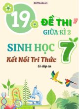 Tuyển tập 19 Đề thi giữa Kì 2 môn Sinh Học 7 sách Kết Nối Tri Thức (Kèm đáp án)